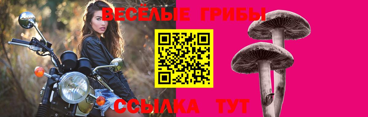 Галлюциногенные грибы Cubensis Чусовой