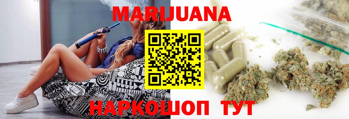 Конопля сатива Чусовой